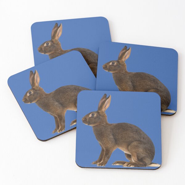 Item preview, Hare designed and sold by MorningFive.