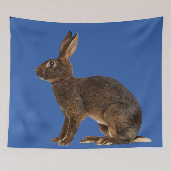 Item preview, Hare designed and sold by MorningFive.