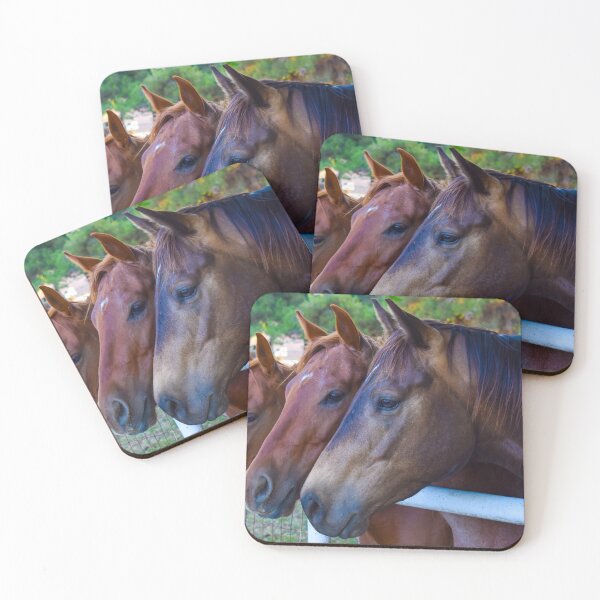 Item preview, 3 Amigos Trio of Quarter Horses with Star Markings  Fine Art Print designed and sold by Yogibear & Rachelle .