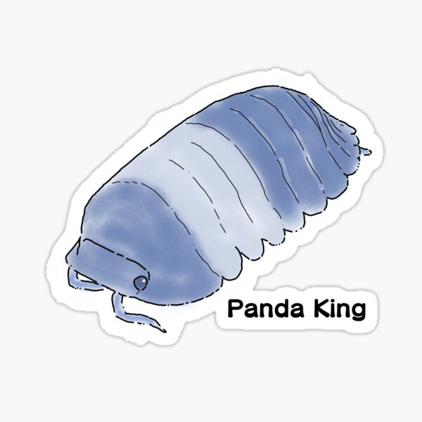 Vista previa del artículo con la obra «El rey panda isópodo», diseñado y vendido por QuinnOliver.