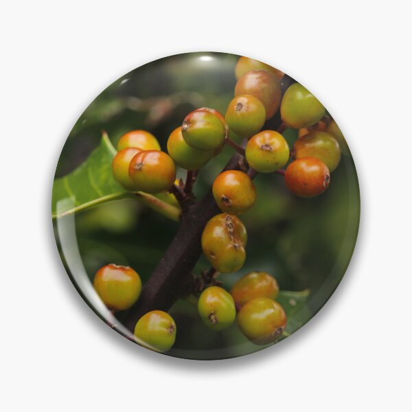 Item preview, Holly Berries Nature In Glenveagh Donegal designed and sold by eddiebarronshop.