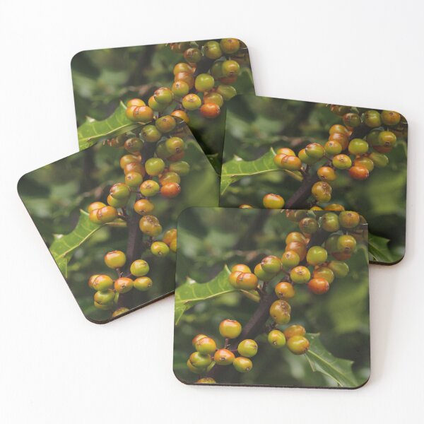 Item preview, Holly Berries Nature In Glenveagh Donegal designed and sold by eddiebarronshop.