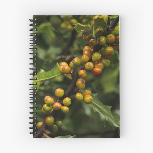 Item preview, Holly Berries Nature In Glenveagh Donegal designed and sold by eddiebarronshop.