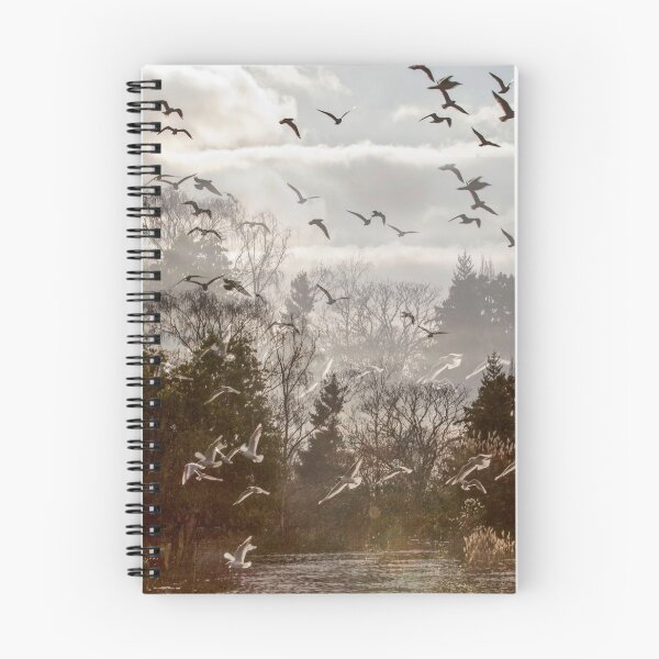 Item preview, Double Exposure Birds on Dulwich Duck Pond London designed and sold by Sbomber73.