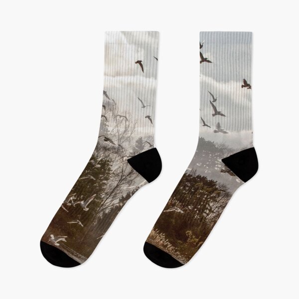 Item preview, Double Exposure Birds on Dulwich Duck Pond London designed and sold by Sbomber73.