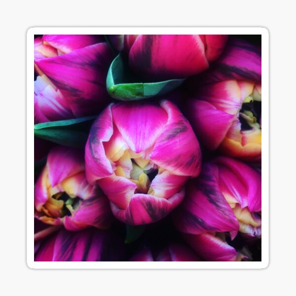 Doctors appointment thank you flowers Sticker