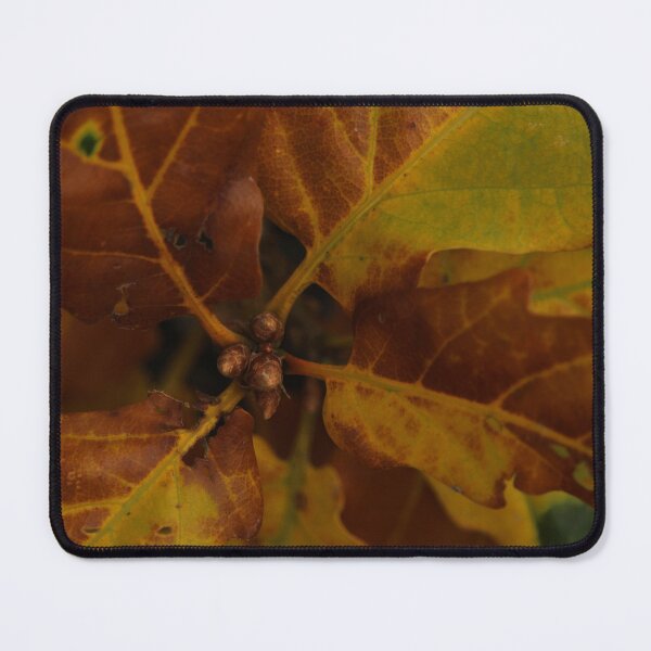 Item preview, Oak Leaves Nature in Glenveagh designed and sold by eddiebarronshop.
