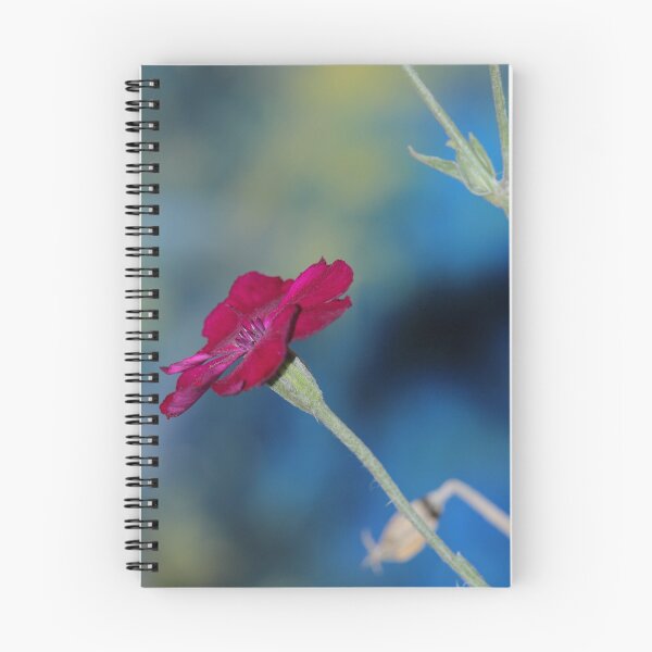 Item preview, Lychnis Coronaria Flower Nature in Letterkenny designed and sold by eddiebarronshop.