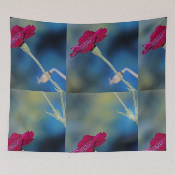 Item preview, Lychnis Coronaria Flower Nature in Letterkenny designed and sold by eddiebarronshop.