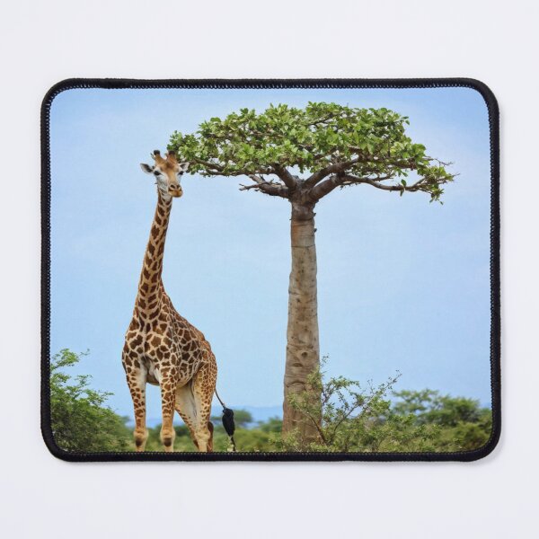 Item preview, The Explorer Giraffe designed and sold by Collection de trésors .