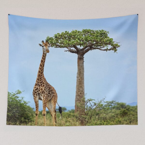 Artikelvorschau, The Explorer Giraffe entworfen und verkauft von Collection de trésors .