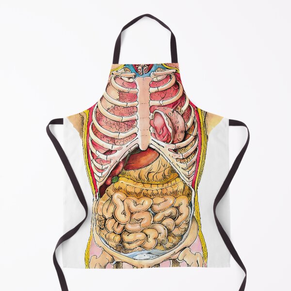 Item preview, Organs designed and sold by LionAround.