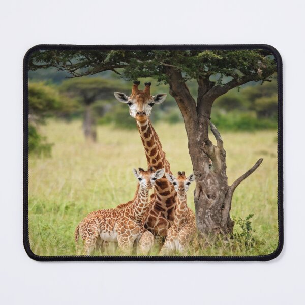 Item preview, La Famille Girafe designed and sold by Collection de trésors .