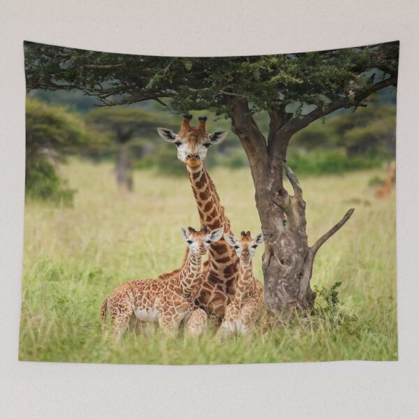 Aperçu de l'œuvre La Famille Girafe créée et vendue par Collection de trésors .