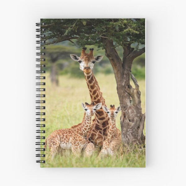 Item preview, Die Giraffenfamilie designed and sold by Collection de trésors .