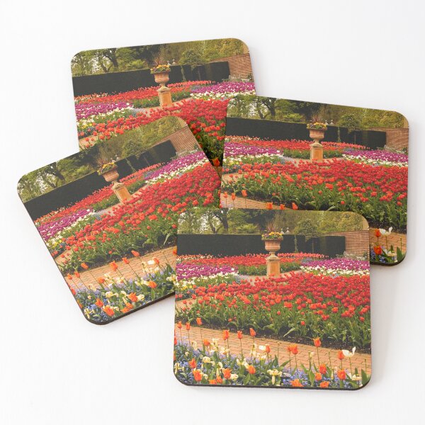 Item preview, Beautiful Flowers at RHS Wisley Gardens, Surrey – Nature's Finest Display - That Surrey Life designed and sold by ThatSurreyLife.