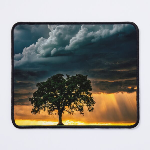 Item preview, tree designed and sold by Jean-François Dupuis.