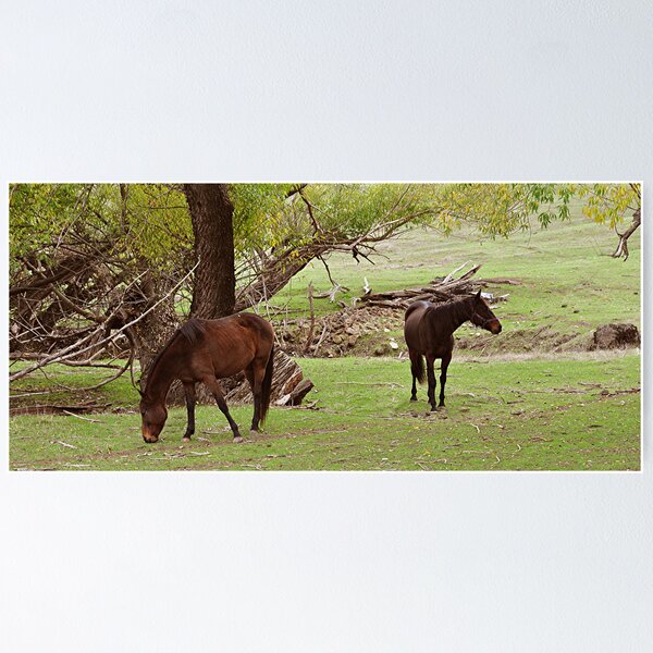 Item preview, Kersbrook - South Australia designed and sold by Michael Tapping.