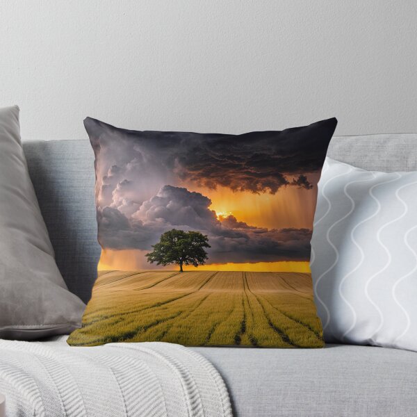 Item preview, Field designed and sold by Jean-François Dupuis.