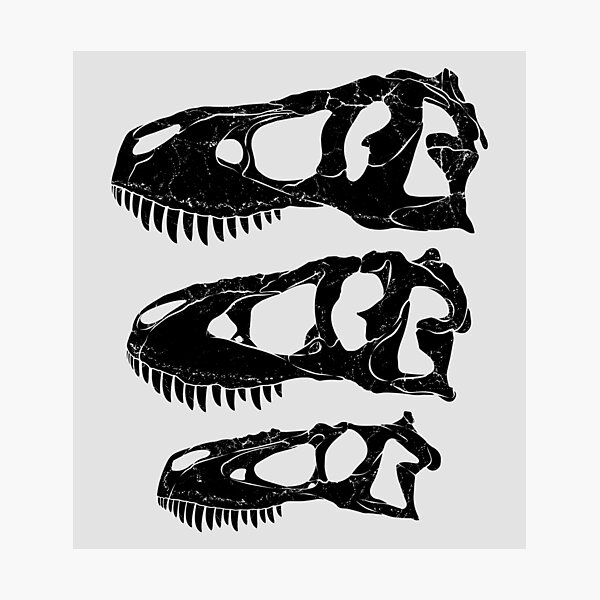 Artikel-Vorschau von Daspletosaurus Tarbosaurus Tyrannosaurus Rex Fossil, designt und verkauft von NicGrayGraphic.