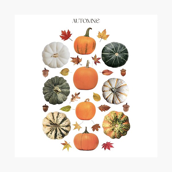 Item preview,  Automne Autumn Collage designed and sold by Julia Healy.