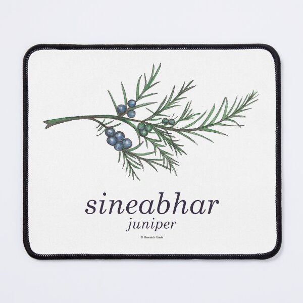 Item preview, Vintage inspired hand painted botanical painting of juniper - sineabhar with Scottish Gaelic translation designed and sold by Mamaidh Made.