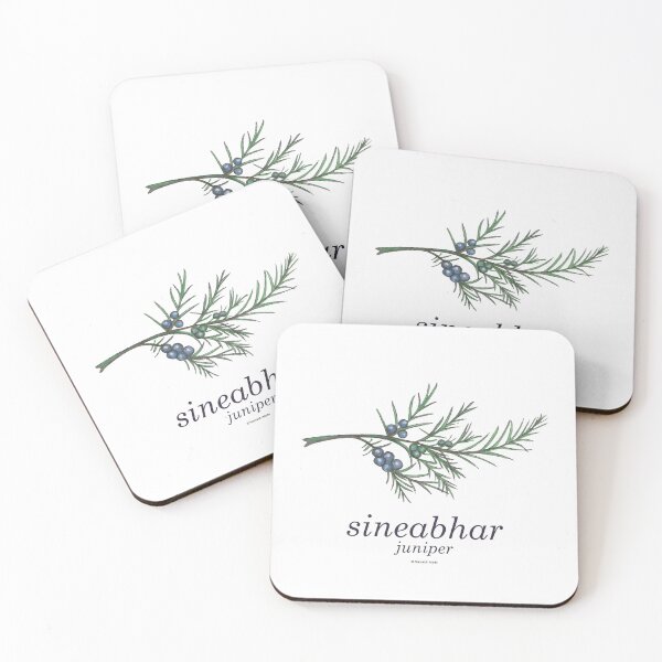 Item preview, Vintage inspired hand painted botanical painting of juniper - sineabhar with Scottish Gaelic translation designed and sold by Mamaidh Made.