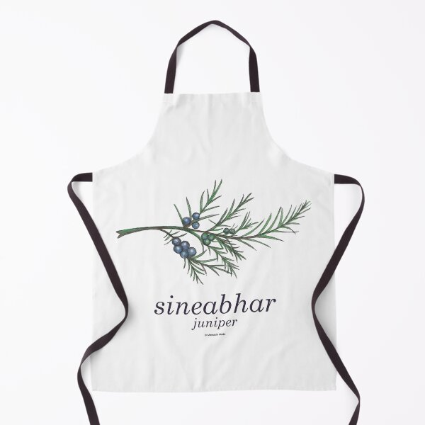 Item preview, Vintage inspired hand painted botanical painting of juniper - sineabhar with Scottish Gaelic translation designed and sold by Mamaidh Made.