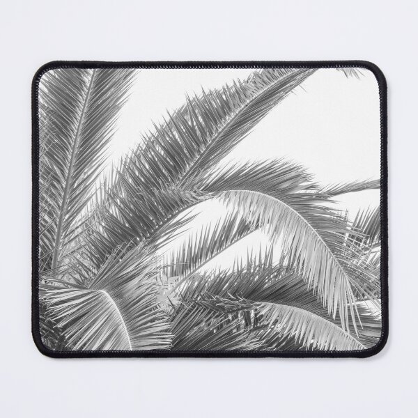 Item preview, Black and white palmtree in Spain art print - natural palm leaves nature and travel photography designed and sold by Christa Stroo Photography.