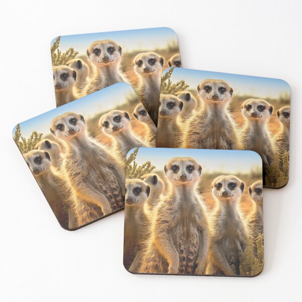 Item preview, Group of Meerkats standing in deserted scene - Wildlife photo designed and sold by TheArtistOf2022.