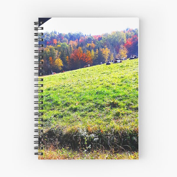 Item preview, Autumnn NH cows on a hillside  designed and sold by Bar-D.