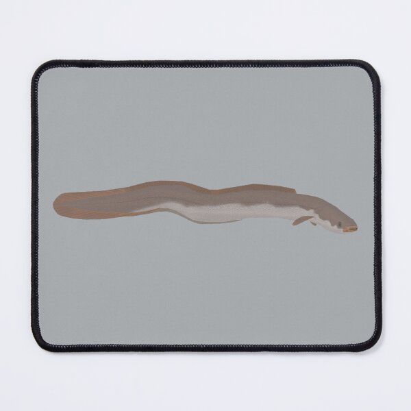 Item preview, Southern Shortfin Eel designed and sold by fishfolkart.