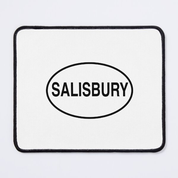 Item preview, Salisbury Oval designed and sold by delmarvastickers.