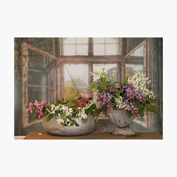 Swedish Summer Photographic Print