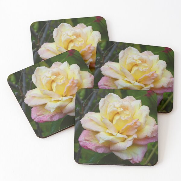 Item preview, Late summer rose designed and sold by jchanders.