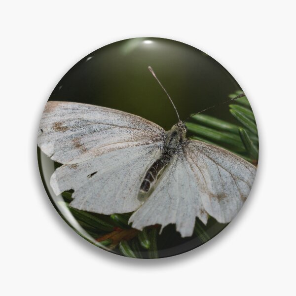 Item preview, Getting old. Green-veined white designed and sold by Jouko Lehto Photography.