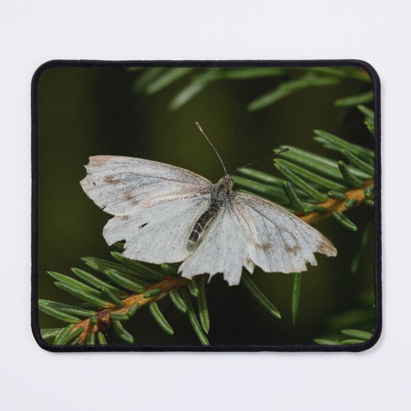 Item preview, Getting old. Green-veined white designed and sold by Jouko Lehto Photography.