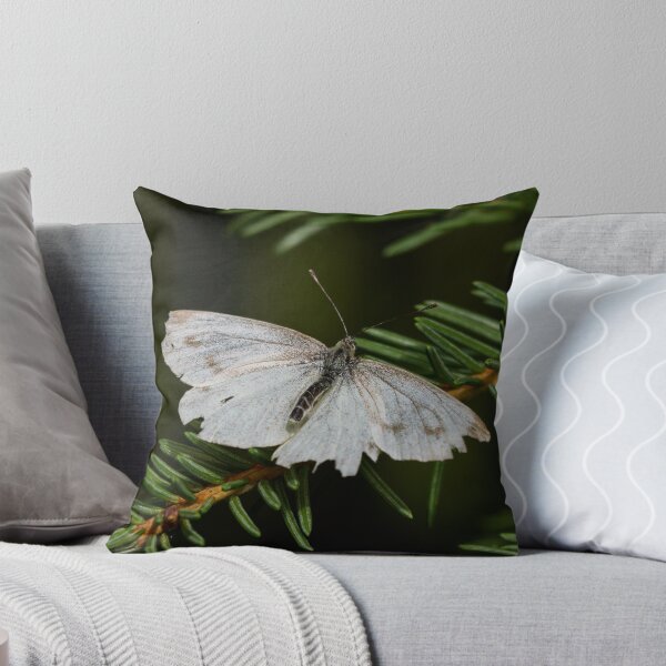 Item preview, Getting old. Green-veined white designed and sold by Jouko Lehto Photography.