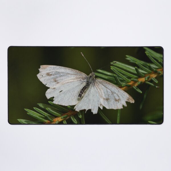 Item preview, Getting old. Green-veined white designed and sold by Jouko Lehto Photography.