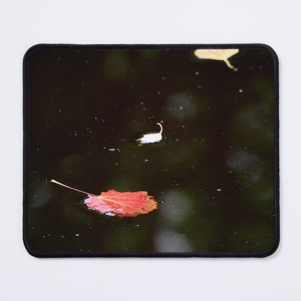 Item preview, First marks of the coming fall designed and sold by Jouko Lehto Photography.