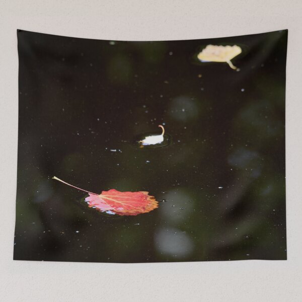 Item preview, First marks of the coming fall designed and sold by Jouko Lehto Photography.