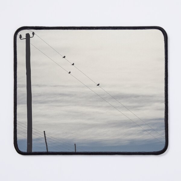 Item preview, Birds on line designed and sold by OpenSpacesArt.