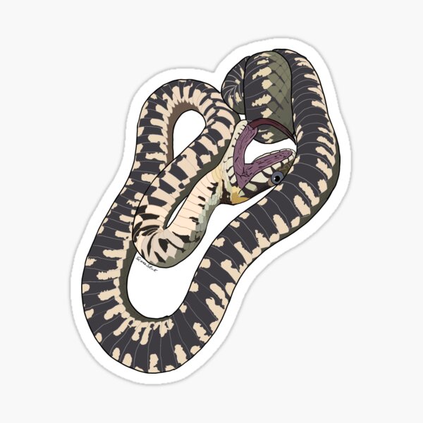 Item preview, Natrix designed and sold by ScienceSkink.