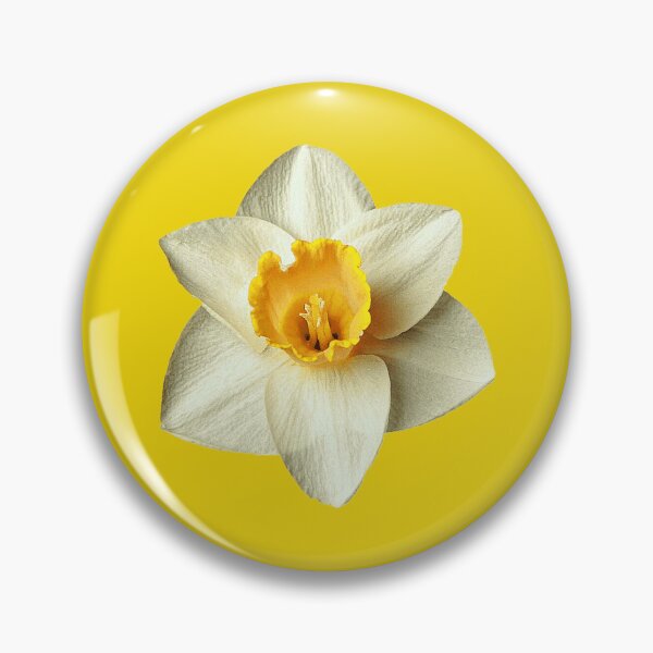 Item preview, Daffodil designed and sold by SterkalaPress.