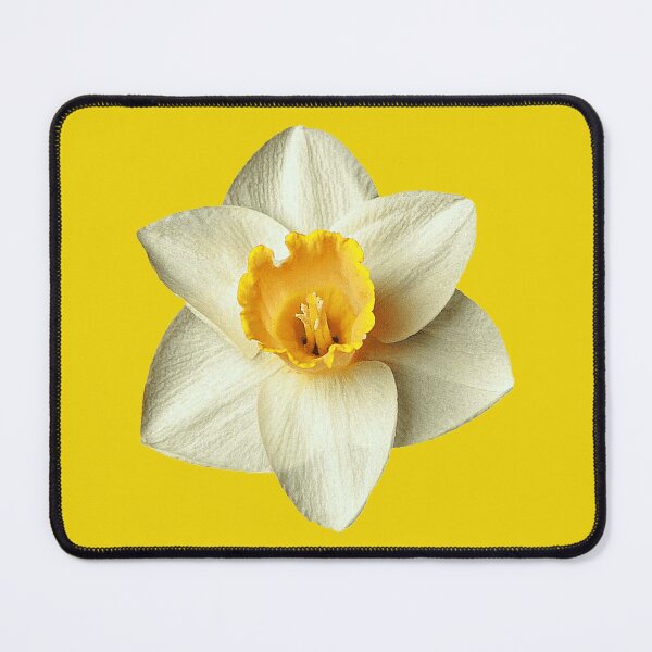Item preview, Daffodil designed and sold by SterkalaPress.