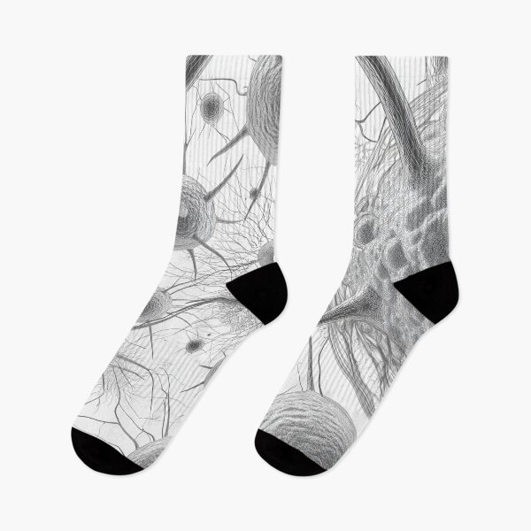 Item preview, under the microscope designed and sold by PricklyPeanut.
