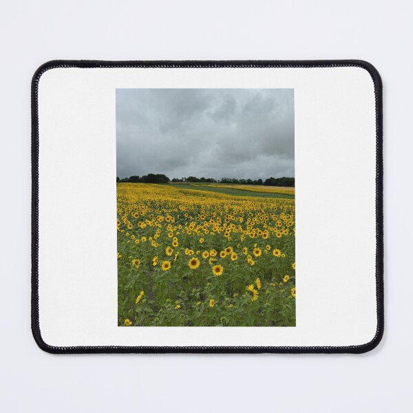 Item preview, Field of Sunflowers before a summer storm designed and sold by Allybally62.