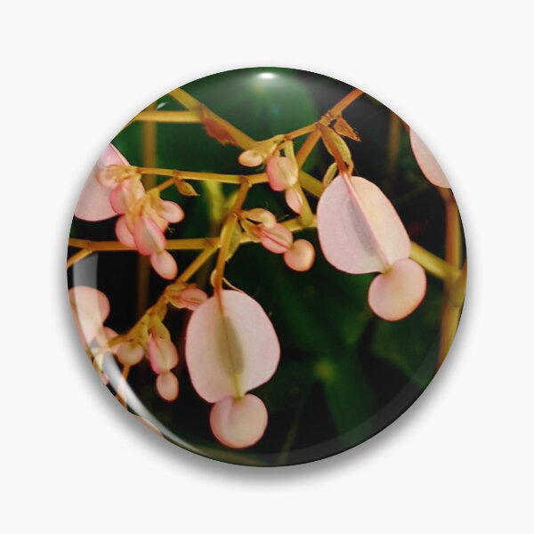 Item preview, Pink teardrop begonia designed and sold by Blissfully-MK.