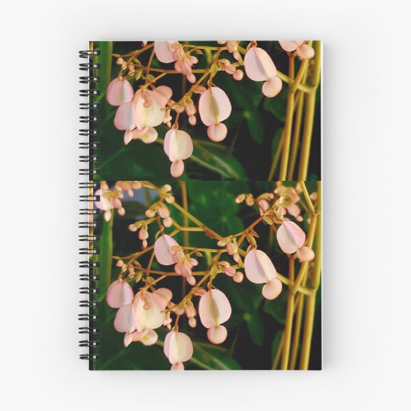 Item preview, Pink teardrop begonia designed and sold by Blissfully-MK.