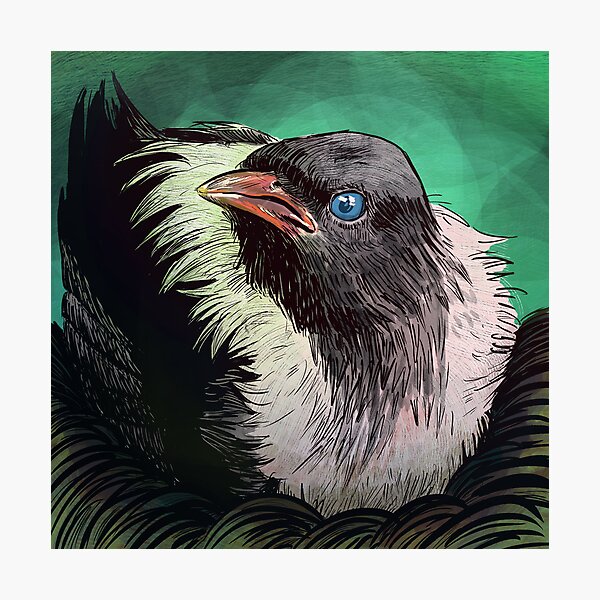 Item preview, Fledgling designed and sold by LaylaSpence.